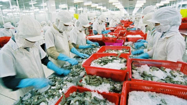 Xuất khẩu nông lâm thủy sản vượt 30 tỷ USD sau 5 tháng, xuất siêu hơn 8,4 tỷ USD