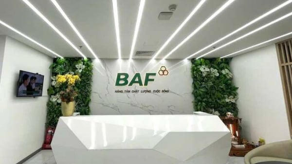 Công ty Nông nghiệp BAF Việt Nam và Công ty Phát triển Nông nghiệp sạch Thanh Xuân bị phạt Công ty Nông nghiệp BAF Việt Nam và Công ty Phát triển Nông nghiệp sạch Thanh Xuân bị phạt