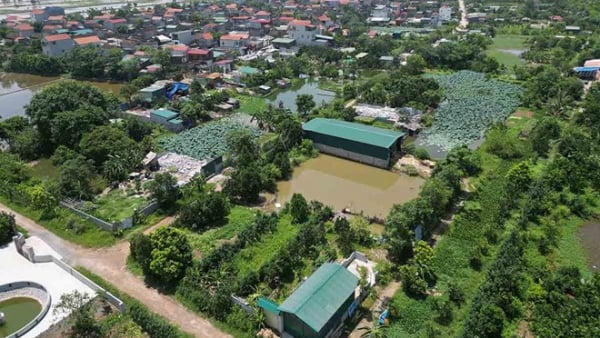 Cục Thuế lưu ý việc gia hạn thời hạn nộp thuế và tiền thuê đất năm 2026