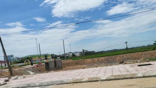 Nghệ An: Bất ngờ đấu giá đất vùng quê, “chênh” 5 tỷ đồng so với giá khởi điểm