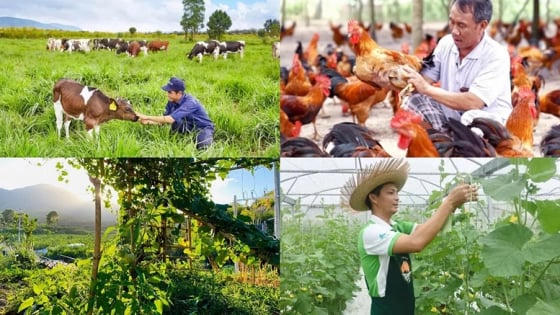 Chính sách mới có hiệu lực từ tháng 8/2025