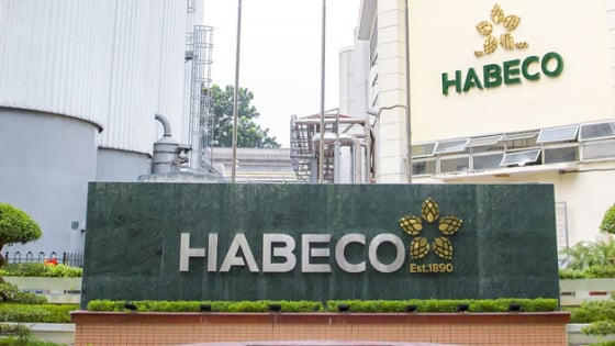 Habeco chi 658 tỷ đồng trả cổ tức năm 2024 và 2025