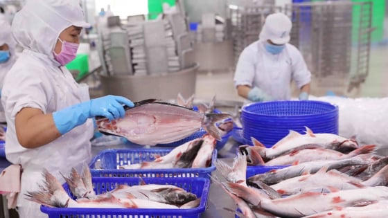 Vĩnh Hoàn ghi nhận doanh thu tháng 8/2026 tăng nhẹ 2%