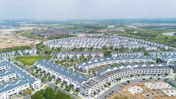 Nhóm công ty thuộc Novaland nợ thuế hơn 660 tỷ đồng