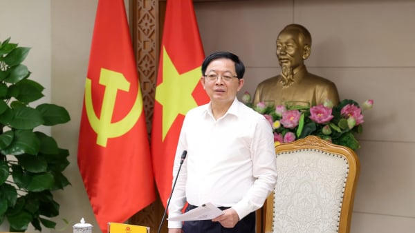 Phó thủ tướng: Nghiên cứu thuế chống đầu cơ, xử lý đất bỏ hoang Phó thủ tướng: Nghiên cứu thuế chống đầu cơ, xử lý đất bỏ hoang