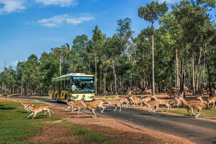 Nắm giữ “kỷ lục kép” thế giới - Vinpearl Safari Phú Quốc “khủng” cỡ nào?