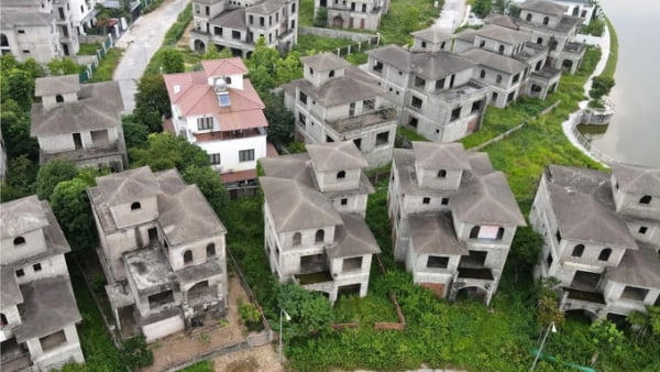 Đề xuất đánh thuế 0,2% với đất bỏ hoang, đất chậm đưa vào sử dụng