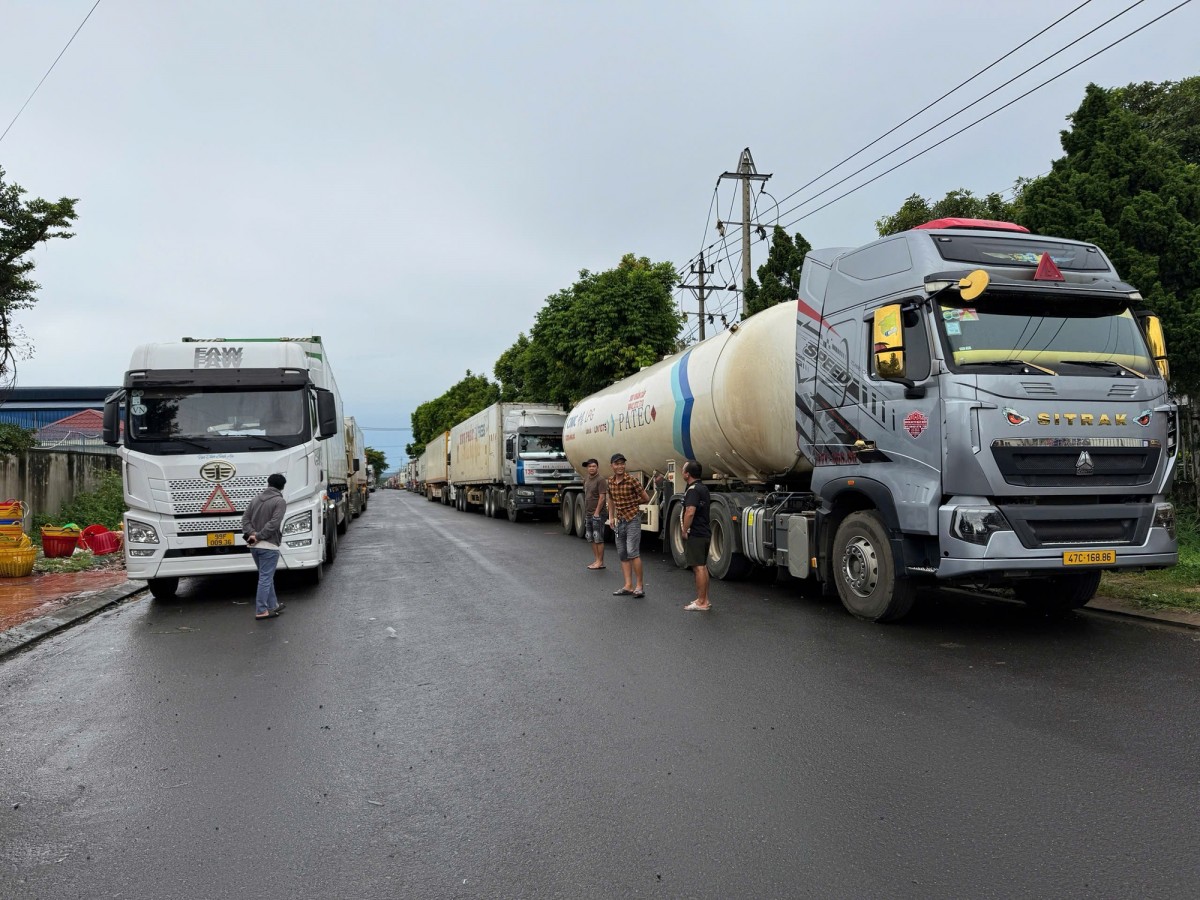 Việc dừng kiểm nghiệm sầu riêng xuất khẩu: Xác định rõ nguyên nhân và trách nhiệm tổ chức, cá nhân