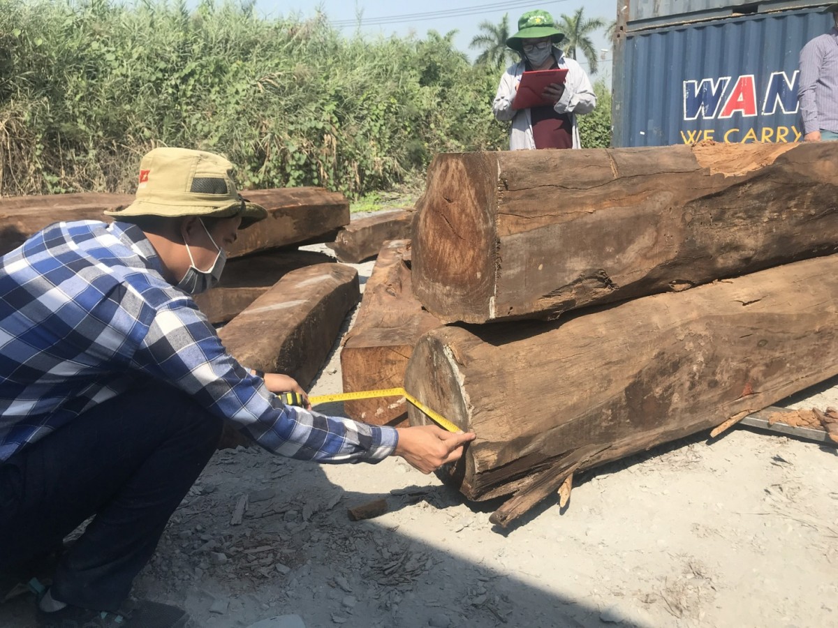 Xuất khẩu gỗ cán mốc 16,5 tỷ USD: Nỗ lực vượt “gọng kìm” rào cản thương mại