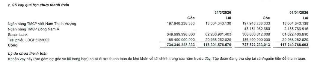 LDG bị MB phong tỏa gần 1.600 tỷ, nợ quá hạn VPBank và Sacombank 643 tỷ đồng