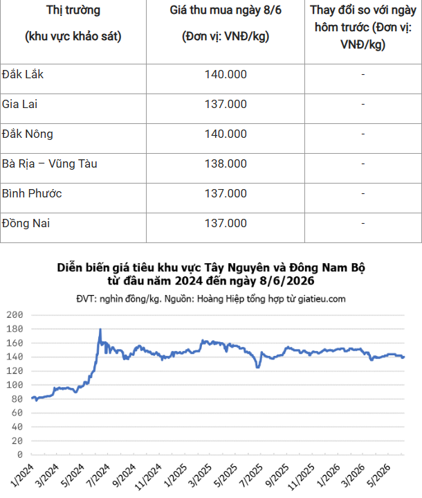 Giá hồ tiêu hôm nay (sáng 8/6): Duy trì giá cao