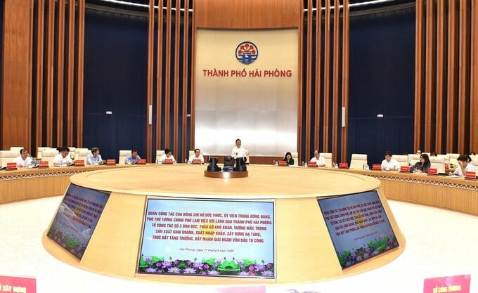   Phó thủ tướng Hồ Đức Phớc làm việc với TP Hải Phòng.  