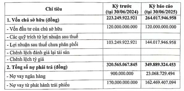 Lợi nhuận giảm, Bkav Pro đối mặt áp lực xử lý khối nợ lớn