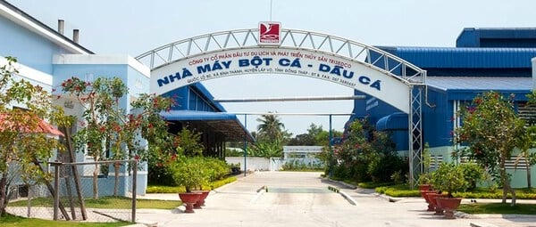 Cổ phiếu DAT tăng gần 40% trong một tuần, HoSE yêu cầu giải trình