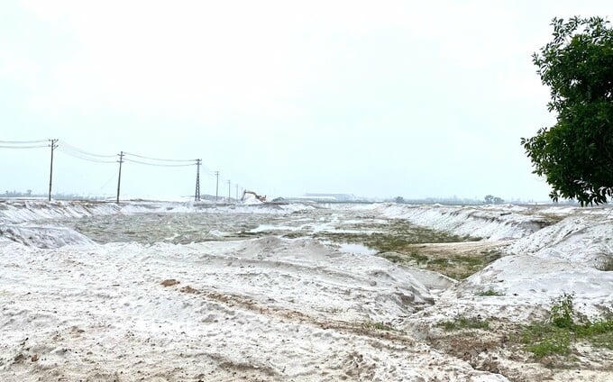   Công ty CP Kỹ nghệ khoáng sản Quảng Nam động chính trong lĩnh vực khai thác, chế biến và kinh doanh khoáng sản (trừ khoáng sản cấm)  