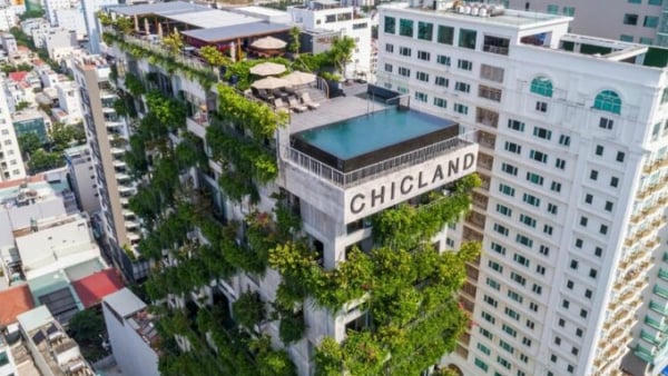 Chic-Land bị phạt 564 triệu do vi phạm về bảo vệ môi trường và ATTP
