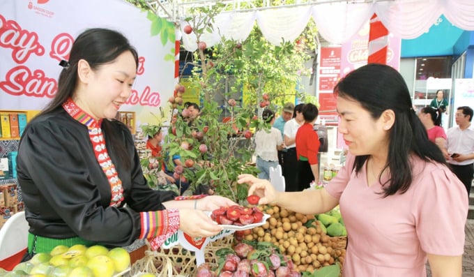 Sơn La: Tăng giá trị sản phẩm, hàng hóa từ chiến lược nâng cao chất lượng