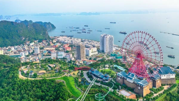 Thuế Quảng Ninh vượt dự toán thu tiền sử dụng đất, đạt 6.000 tỷ đồng Thuế Quảng Ninh vượt dự toán thu tiền sử dụng đất, đạt 6.000 tỷ đồng