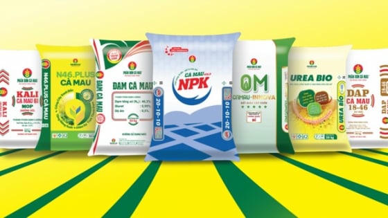 Đạm Cà Mau tổ chức đại hội đồng cổ đông bất thường năm 2025 vào 5/11 Đạm Cà Mau tổ chức đại hội đồng cổ đông bất thường năm 2025 vào 5/11