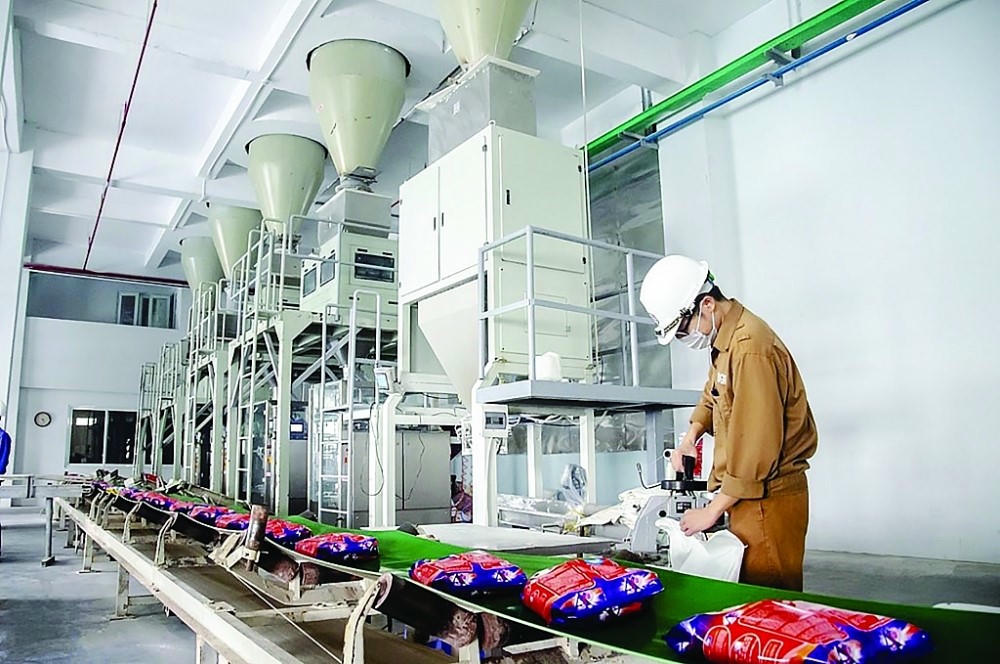 Bột giặt NET chốt danh sách cổ đông trả cổ tức 65% tiền mặt