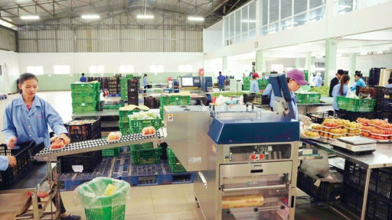 Lâm Đồng: Nhiều giải pháp hỗ trợ doanh nghiệp nâng cao năng suất và chất lượng sản phẩm