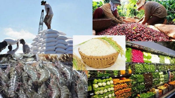 Tín dụng cho nông, lâm, thủy sản được nâng lên 185.000 tỷ đồng