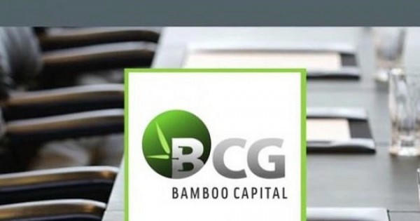 2 cổ phiếu trong hệ sinh thái Bamboo Capital bị đình chỉ giao dịch
