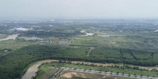 Tạm hoãn xuất cảnh Giám đốc Công ty Boss City Tạm hoãn xuất cảnh Giám đốc Công ty Boss City