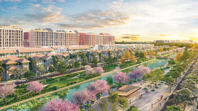 Nhà đầu tư Flora Avenue đón cơ hội tăng trưởng rõ nét. (Ảnh: Sun Property)