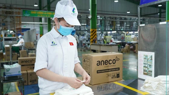 Năng suất toàn bộ dây chuyền của doanh nghiệp sản xuất đồ nhựa tăng lên nhờ ToC