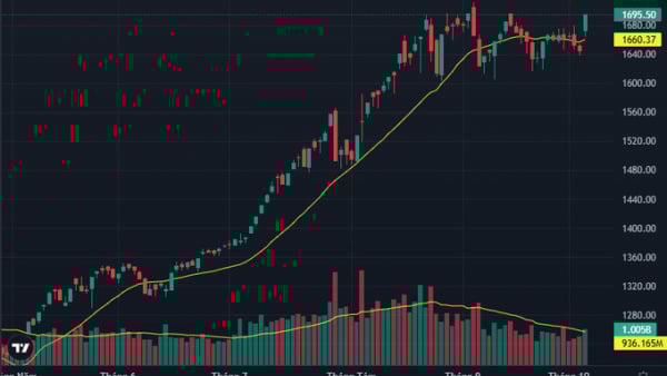 VN-Index đóng cửa tăng gần 50 điểm