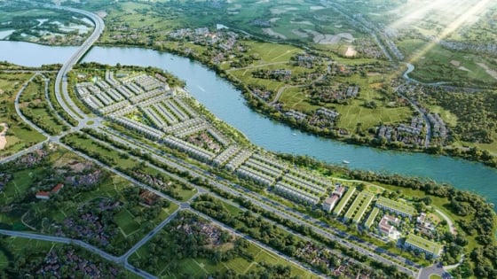 Phát Đạt tăng tốc thận trọng trong năm bản lề Phát Đạt tăng tốc thận trọng trong năm bản lề
