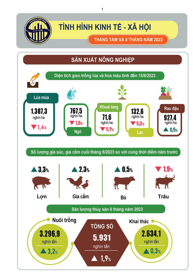 {Infographic} Tình hình kinh tế – xã hội tháng 8 và 8 tháng năm 2023