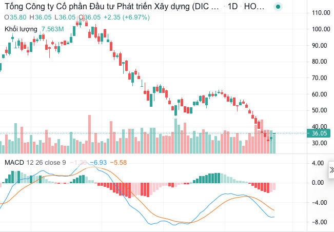 Cổ phiếu DIG nhìn từ việc 2 cổ đông lớn Him Lam và Thiên Tân bán tháo, lãnh đạo doanh nghiệp đăng ký mua hờ