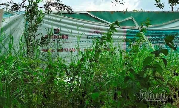 Vẻ đìu hiu, hoang tàn ở khu đô thị “ma” Nhơn Trạch