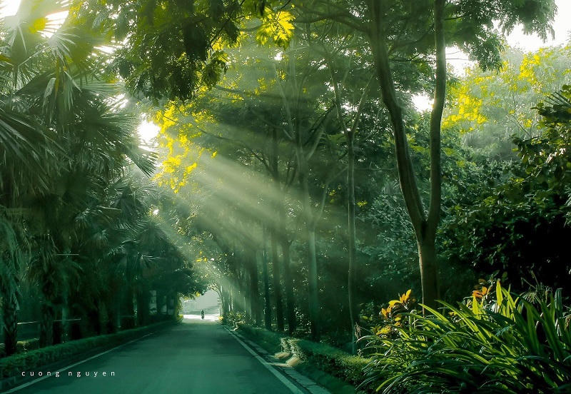 Ecopark Marathon 2021 - Ngắm cung đường chạy giữa thiên nhiên “siêu chất” trước giờ G 