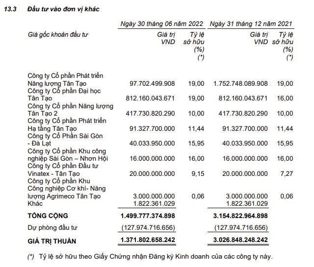 Đầu tư vào các đơn vị khác (Nguồn: ITA)