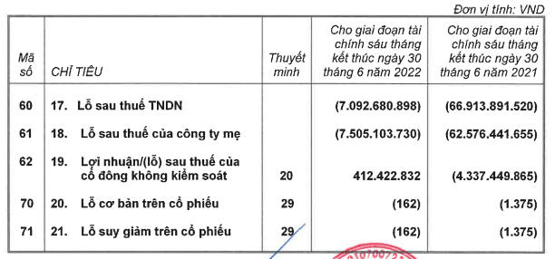 Báo cáo kết quả kinh doanh bán niên sau xét soát của Taseco Airs