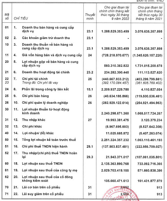 Báo cáo tài chính 9 tháng sau soát xét