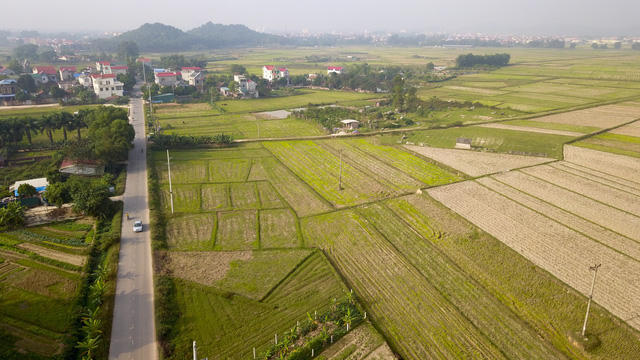 Toàn cảnh khu đất 100 ha dự kiến làm trường đua ngựa tại Hà Nội