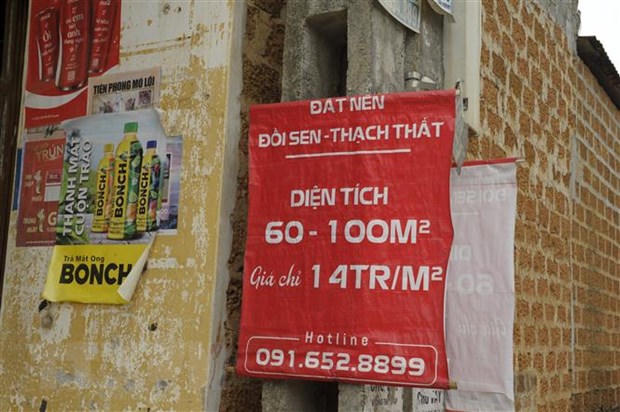 Ảnh minh họa. (Nguồn: Mạnh Khánh/TTXVN) &nbsp;