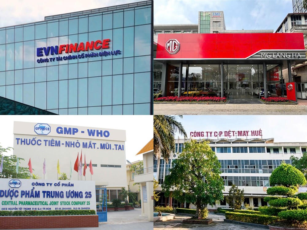 Điểm tin doanh nghiệp hôm nay: PTM lao dốc lợi nhuận, EVF bứt phá, Dệt may Huế vượt kế hoạch năm - ảnh 1