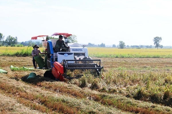 Sân bay 4.000 tỷ mọc lên, đến thời tỷ phú chân đất?