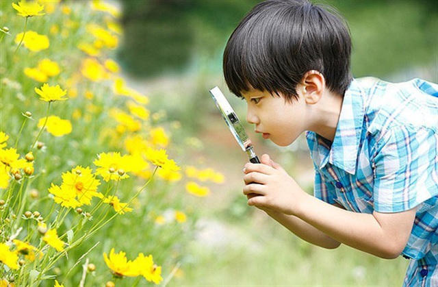 Thoát khỏi những "hộp diêm" ngột ngạt, mẹ cho con căn hộ xanh nơi phố