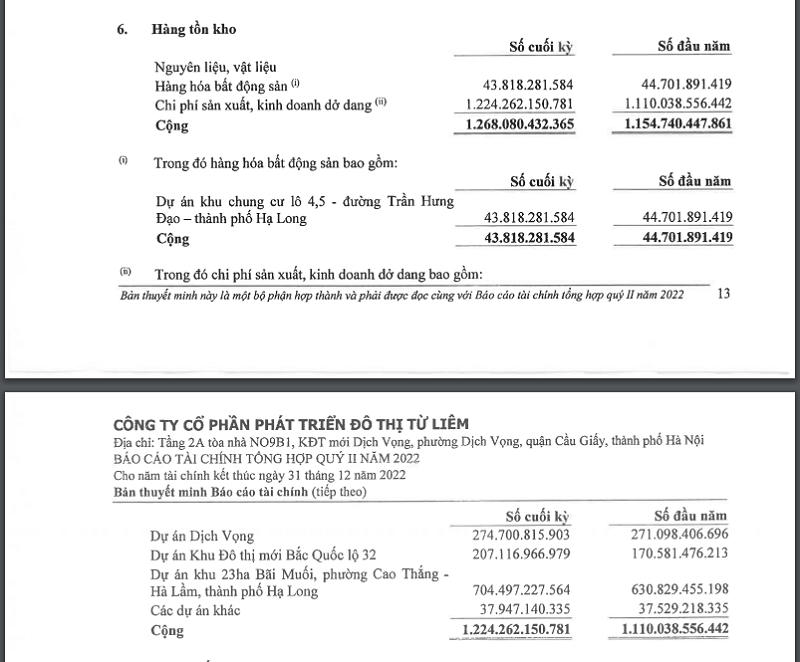 Danh mục tồn kho NTL (Nguồn: BCTCTH quý II/2022 của NTL).