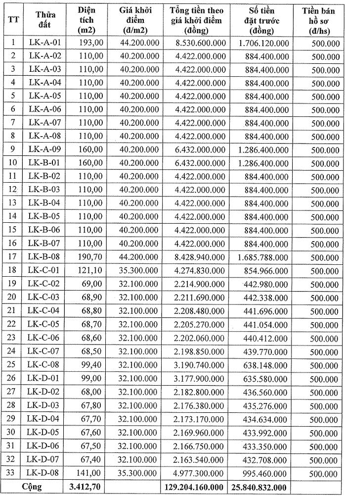 Danh sách các lô đất vừa được đấu giá thành công.