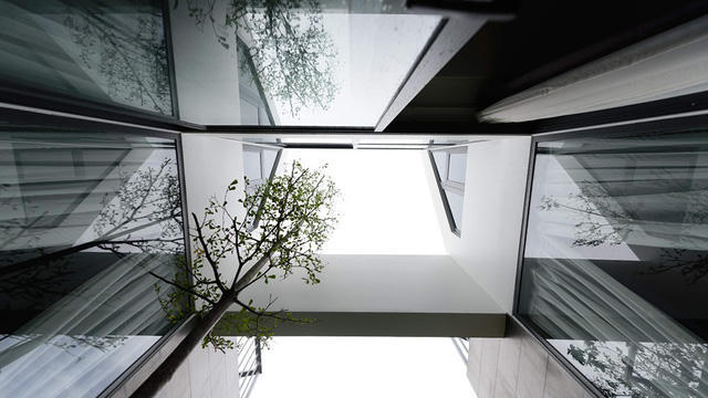 Hệ thống giếng trời của căn biệt thự này khá độc đáo, tận dụng không gian và khí trời thoáng mát