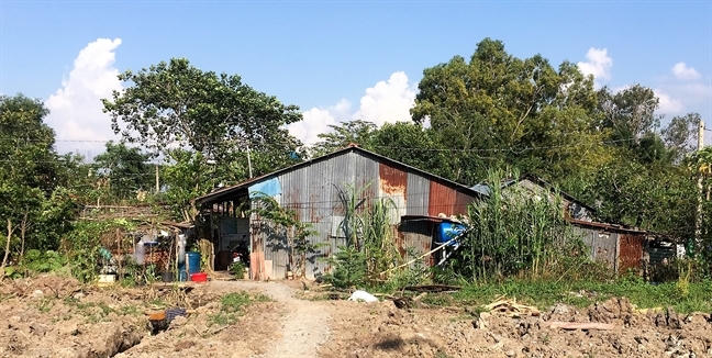 Dieu tra chu mot loat doanh nghiep bat dong san co dau hieu lua dao nhieu du an o TP.HCM