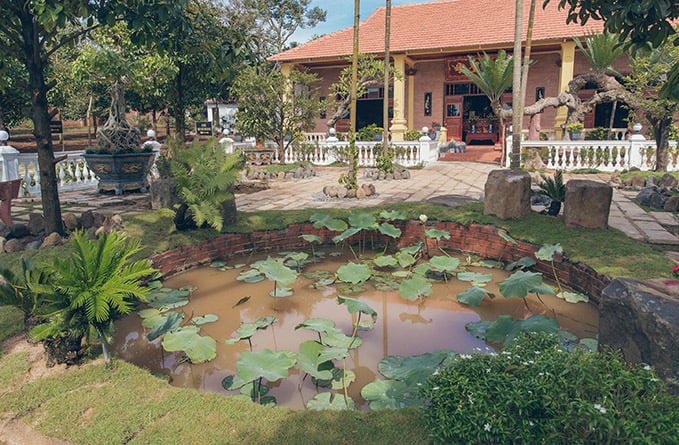 Hồ sen nhỏ trước căn nhà