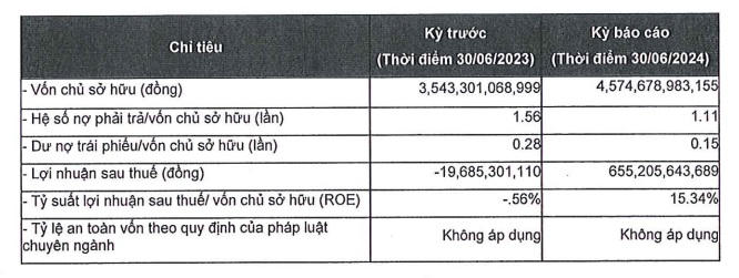 Tình hình tài chính bán niên 2024 của&nbsp;Công ty cổ phần GreenFeed Việt Nam.